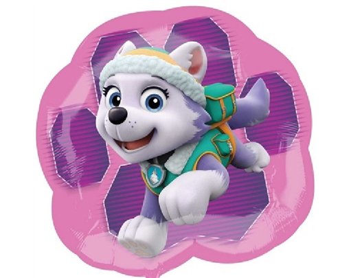 PAWPATROL SKYE & EVEREST S/SHAPE