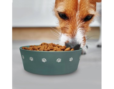 Paws Off Food For Barney Dog Bowl