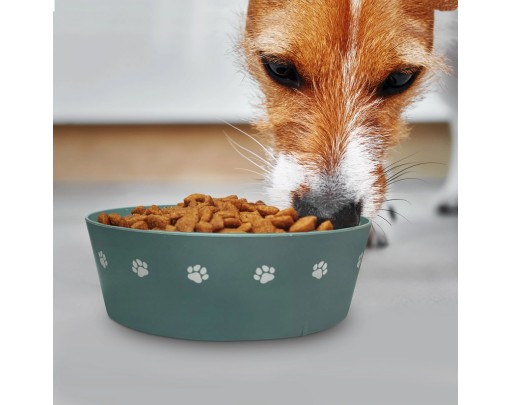 Paws Off Food For Barney Dog Bowl