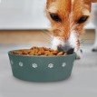 Paws Off Food For Barney Dog Bowl