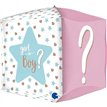 15in SQUARE GENDER REVEAL 4D FOIL BALLOON