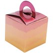 8PK ROSE GOLD OMBRE BALLOON WEIGHT BOXES