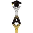 6ft SPECIAL DELIVERY YAY GRAD FOIL BALLOON
