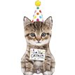 41in CUE THE CATFETTI CAT FOIL BALLOON