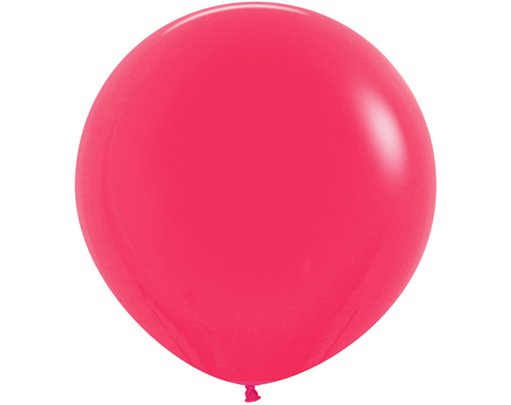 3PK 24in FASHION RASPBERRY SEMPERTEX  (20012963)