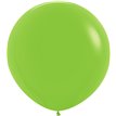 2PK 36in FASHION LIME GREEN SEMPERTEX (20006697)