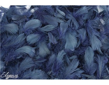 50g ASST NAVY BLUE FEATHERS