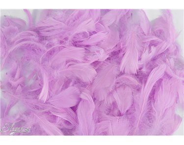 50g ASST PASTEL LAVENDER FEATHERS