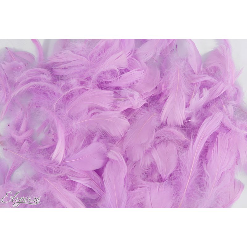 50g ASST PASTEL LAVENDER FEATHERS