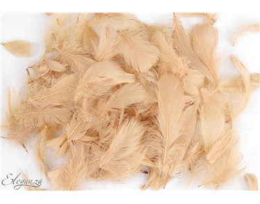 50g ASST ELEGANZA BLUSH FEATHERS