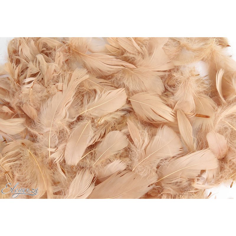 50g ASST NATURAL COLOUR FEATHERS