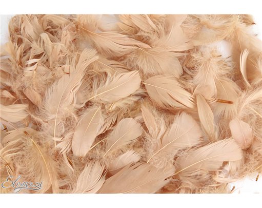 50g ASST NATURAL COLOUR FEATHERS