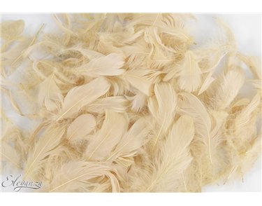 50g ASST PAMPAS FEATHERS
