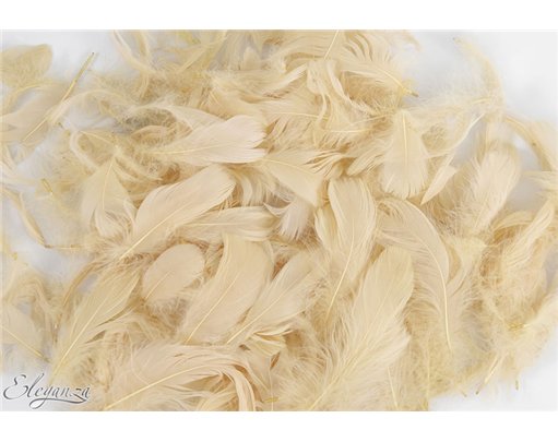 50g ASST PAMPAS FEATHERS