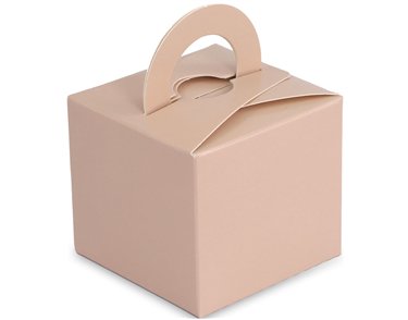 NUDE BALLOON WEIGHT BOX 10S