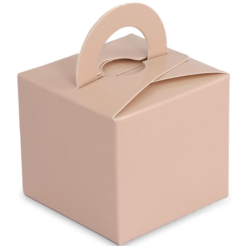 NUDE BALLOON WEIGHT BOX 10S