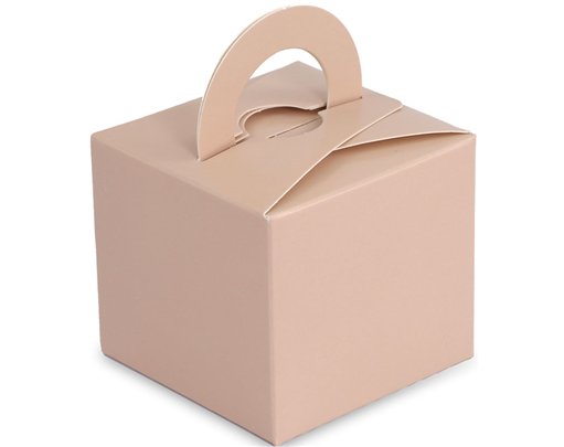 NUDE BALLOON WEIGHT BOX 10S