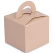 NUDE BALLOON WEIGHT BOX 10S