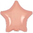9in ROSE GOLD STAR FOIL BALLOON 5S
