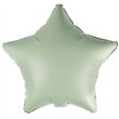18in EUCALYPSO SILK LUSTRE STAR FOIL BALLOON