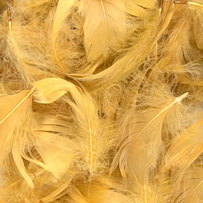 50g 3-5in ASST GOLD FEATHERS