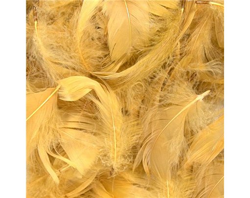 50g 3-5in ASST GOLD FEATHERS