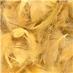 50g 3-5in ASST GOLD FEATHERS