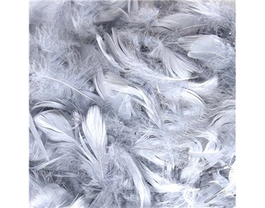 50g 3-5in ASST SILVER FEATHERS