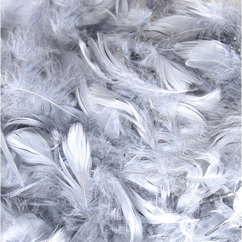 50g 3-5in ASST SILVER FEATHERS