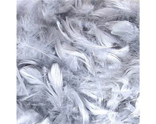 50g 3-5in ASST SILVER FEATHERS