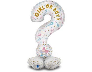 QUESTION MARK GENDER REVEAL FOIL STAND-UP