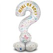 QUESTION MARK GENDER REVEAL FOIL STAND-UP