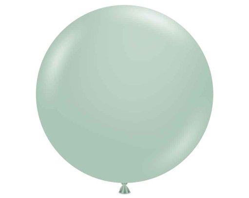 50PK 17in EMPOWER-MINT PASTEL TUFTEX