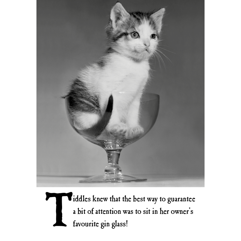 Tiddles Knew That The Best Way