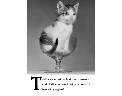 Tiddles Knew That The Best Way