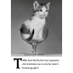 Tiddles Knew That The Best Way