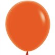 25PK 18in FASHION ORANGE SEMPERTEX (20002471)