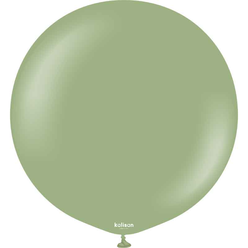 2PK 24in RETRO EUCALYPTUS KALISAN LATEX