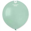 25PK 19in AQUAMARINE GEMAR LATEX