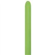 50PK 260 NOZZLE UP MODELLING LIME GREEN SEMPERTEX (20009334)