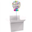 BUBBLE BALLOON BOX 10S