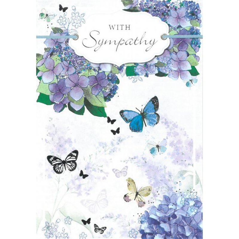 C50 ELVIN SYMPATHY E/DAY  6S