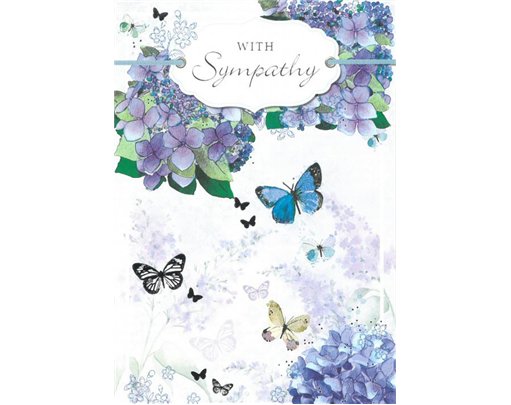 C50 ELVIN SYMPATHY E/DAY  6S