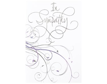 C50 ELVIN SYMPATHY E/DAY  6S