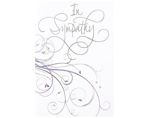 C50 ELVIN SYMPATHY E/DAY  6S