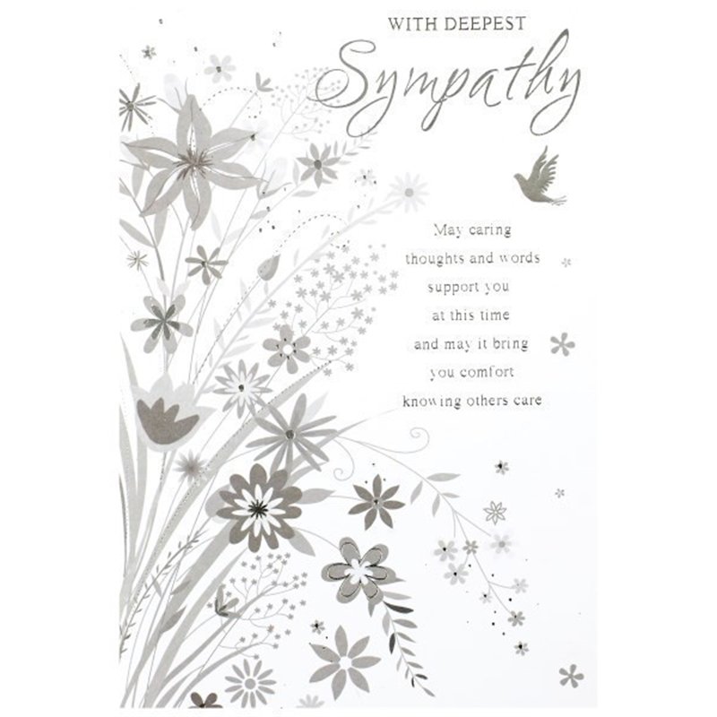 C50 ELVIN SYMPATHY E/DAY  6S