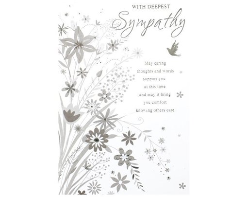 C50 ELVIN SYMPATHY E/DAY  6S