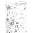 C50 ELVIN SYMPATHY E/DAY  6S
