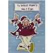 C50 ATTACHMENTS NO.1 WEST HAM FAN  12S