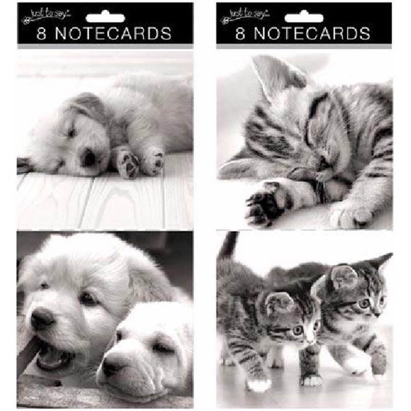 (8) CATS & DOGS LARGE SQ NOTE CARDS